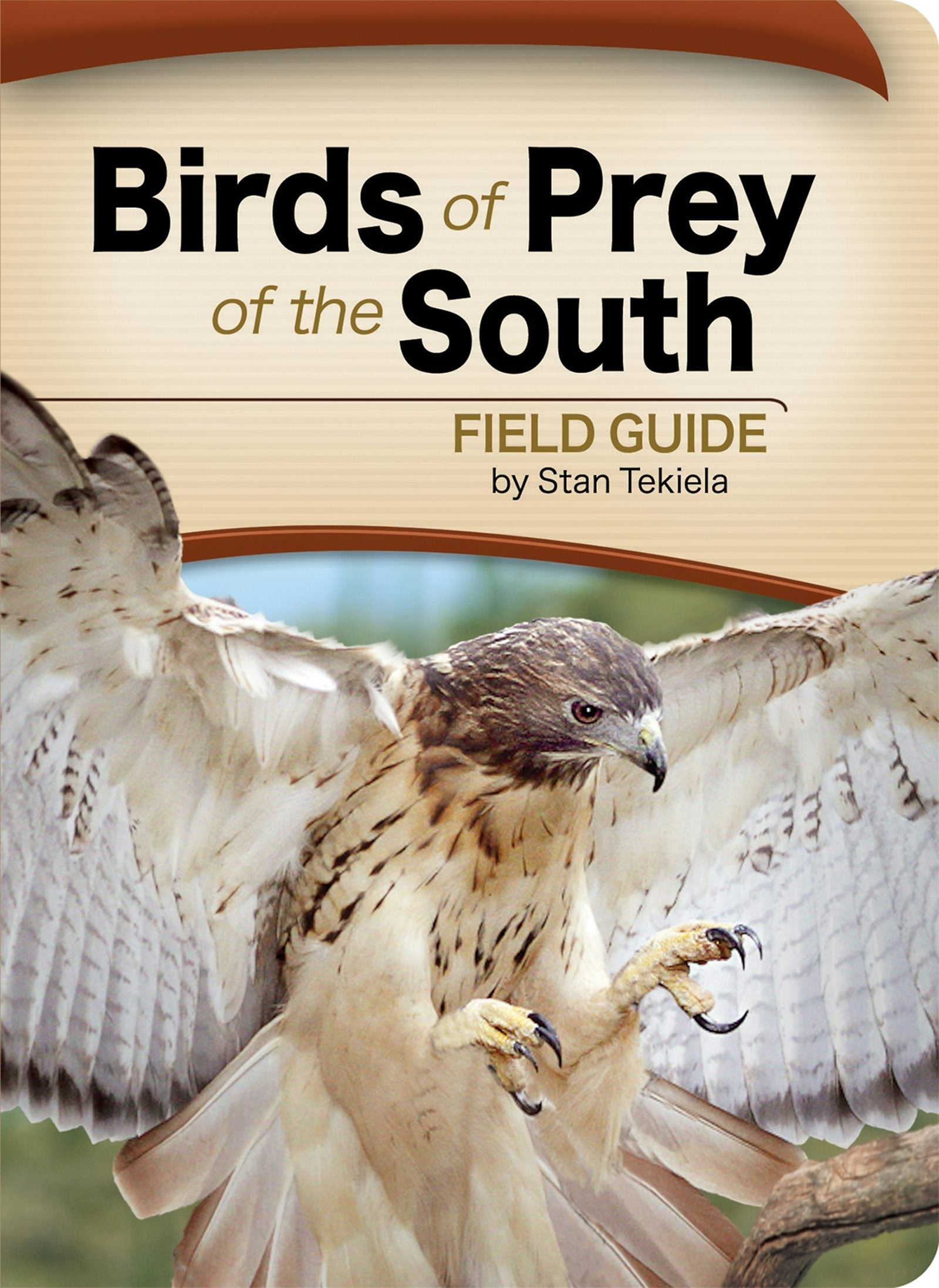Book cover image for Birds of Prey of the South Field Guide ISBN: 9781591933816
